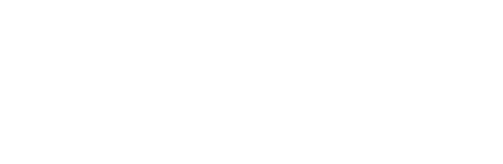 Zhengs Big Rice Bowl